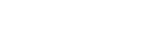 PassieFashion